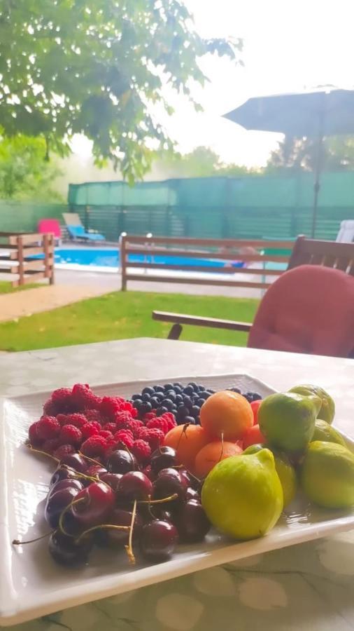 Home Away From Home Ilidža Εξωτερικό φωτογραφία